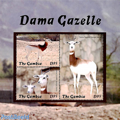 Dama Gazelle 3v m/s
