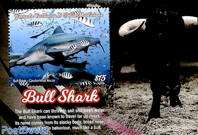 Bull Shark s/s