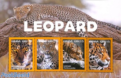 Leopard 4v m/s