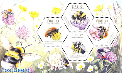 Bees s/s