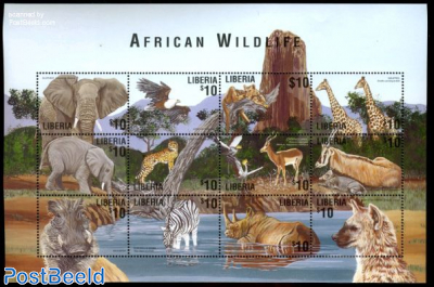 African wildlife 12v m/s