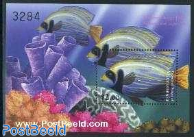 Emperor angelfish s/s