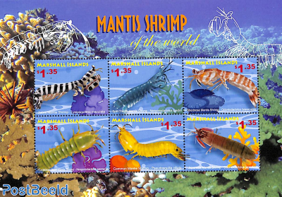 Mantis Shrimp 6v m/s