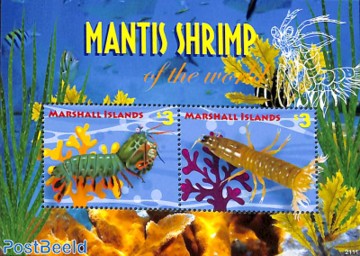 Mantis Shrimp s/s