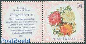 Chrysanthemum 1v+tab