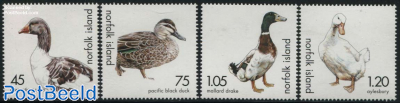 Ducks & goose 4v