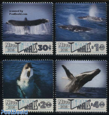 Humpback Whales 4v