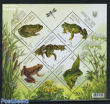 Frogs 5v m/s