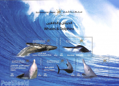 Whales & Dolphins s/s