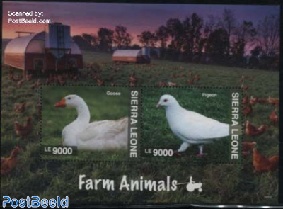 Farm Animals 2v m/s