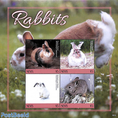 Rabbits 4v m/s