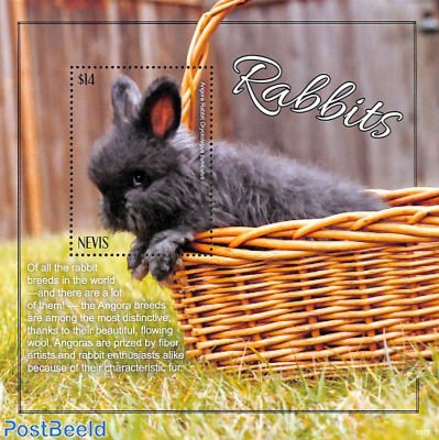 Rabbits s/s