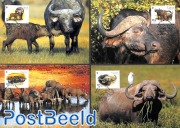 WWF, Water Buffel 4v [:::] or [+]